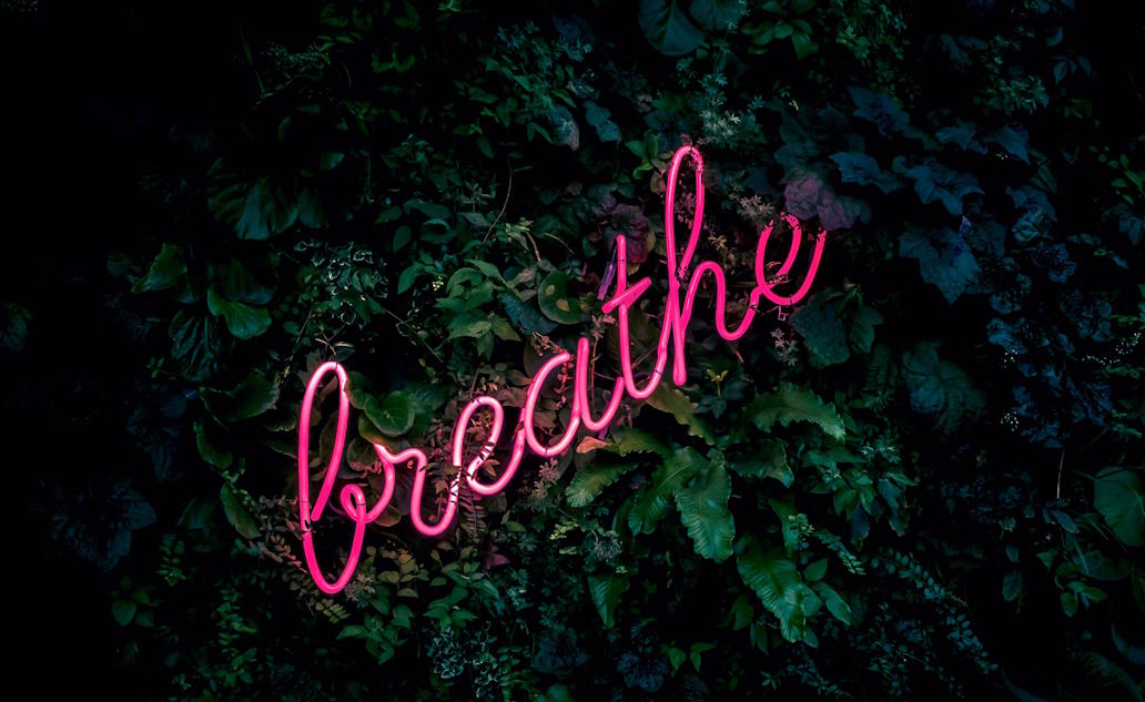 Pink neon sign reading 'breathe' on a background of green leaves